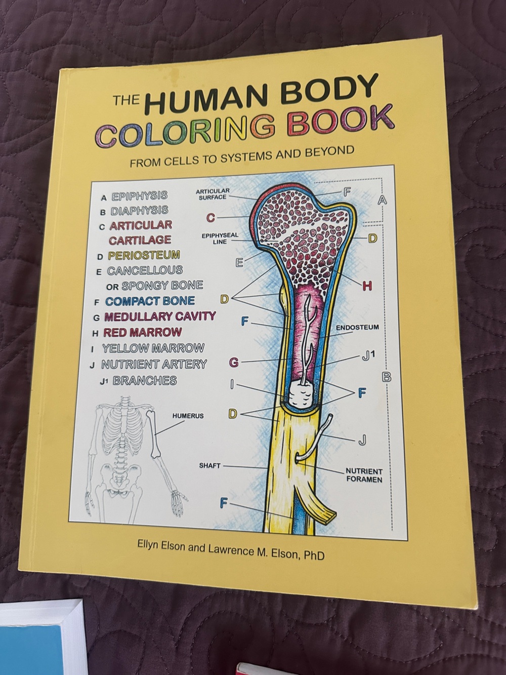 Human coloring handbook